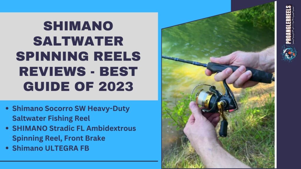 Shimano Saltwater Spinning Reels Reviews - Best Guide of 2023