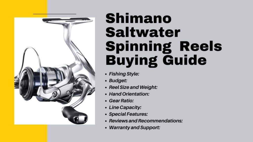 Shimano Saltwater Spinning Reels Buying Guide 