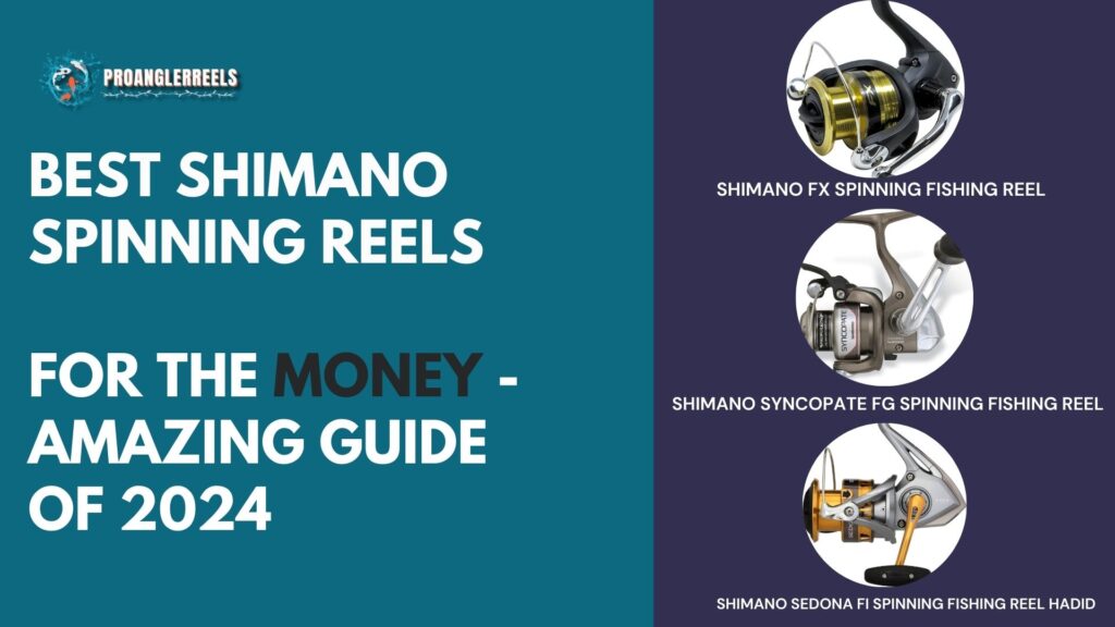 Best Shimano Spinning Reels For The Money - Amazing guide of 2024