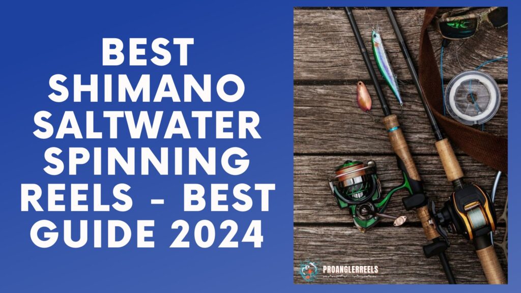 Best Shimano Saltwater Spinning Reels - Best Guide 2024