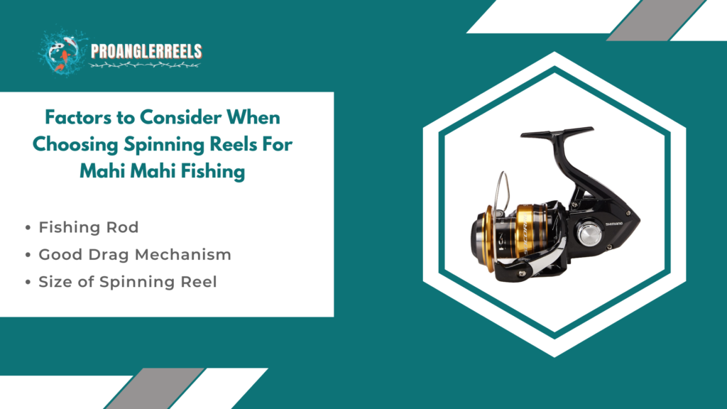 Factors to Consider When Choosing Spinning Reels For Mahi Mahi Fishing
