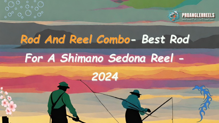 Rod And Reel Combo- Best Rod For A Shimano Sedona Reel – 2024
