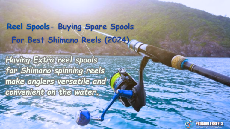 Reel Spools- Buying Spare Spools For Best Shimano Reels (2024)