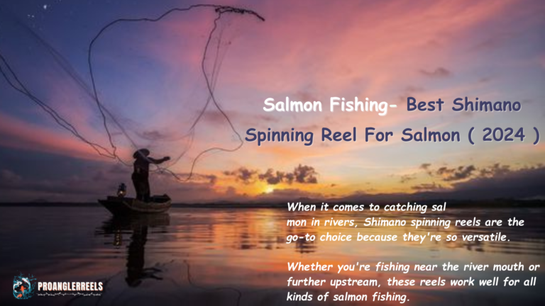 Salmon Fishing- Best Shimano Spinning Reel For Salmon ( 2024 )